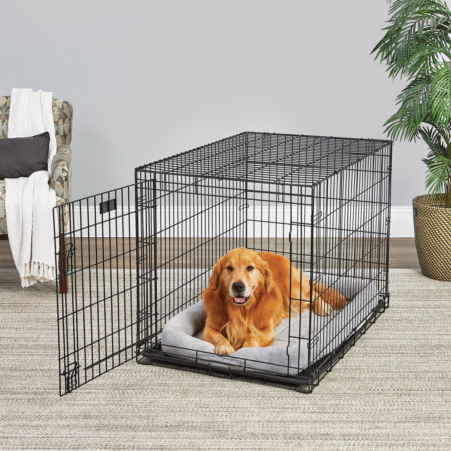 Midwest Lifestages Double Door Dog Crate, 48" - Eco and More Pet Store DBA Overseen