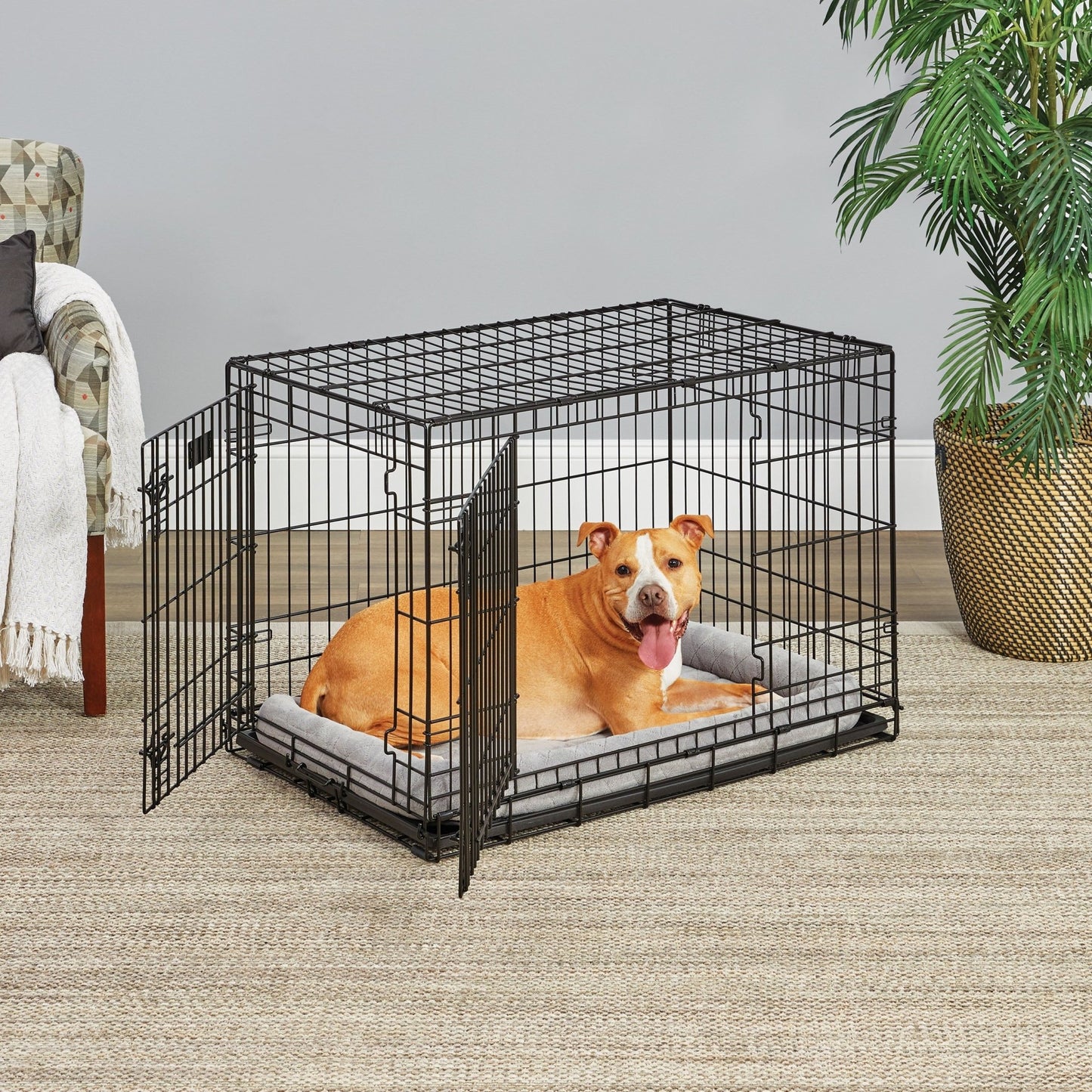 Midwest Lifestages Double Door Dog Crate, 48" - Eco and More Pet Store DBA Overseen