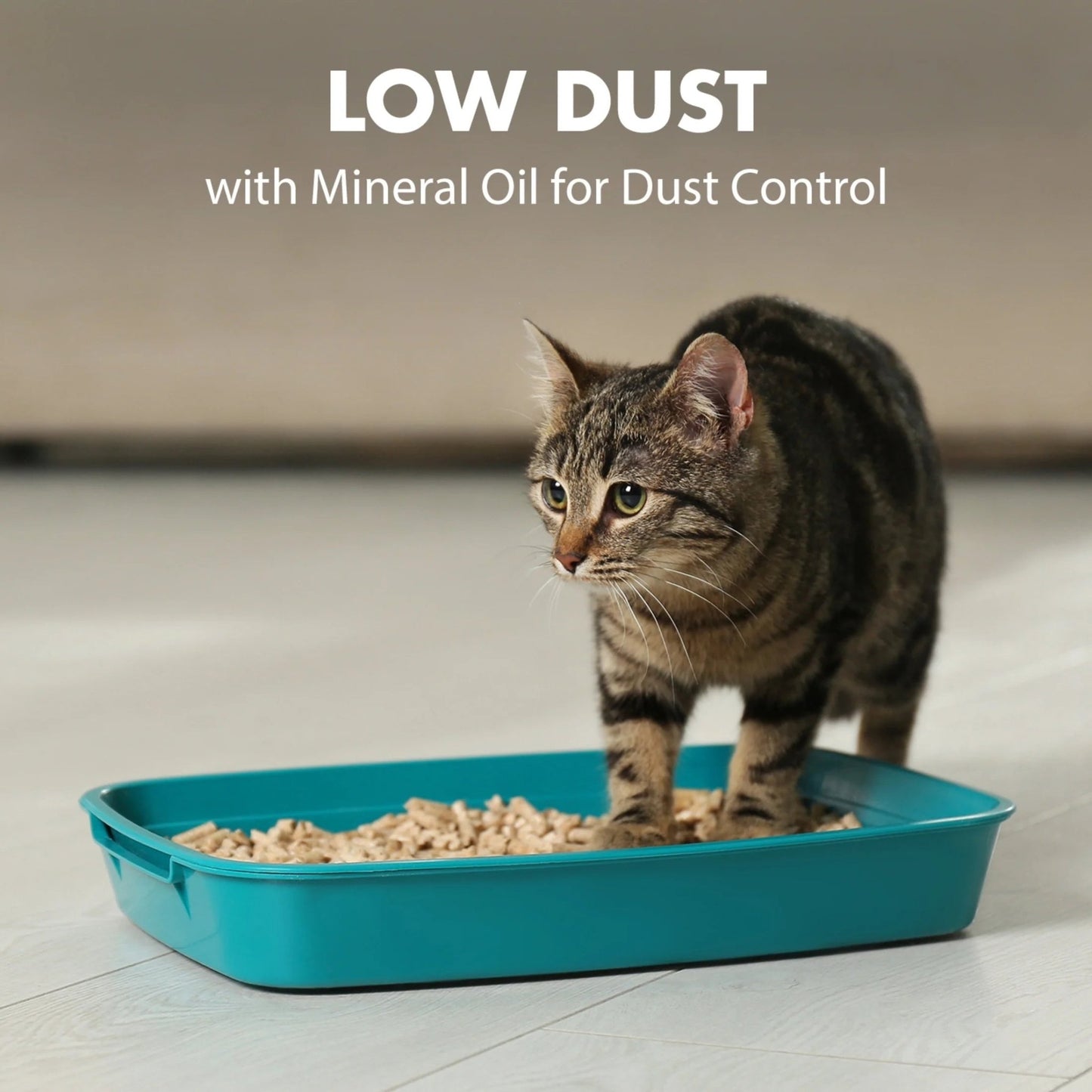 Naturals Clumping Cat Litter with Corn Fibers, Odor Control, Fresh Scent, 9 Lbs - Eco and More Pet Store DBA Overseen