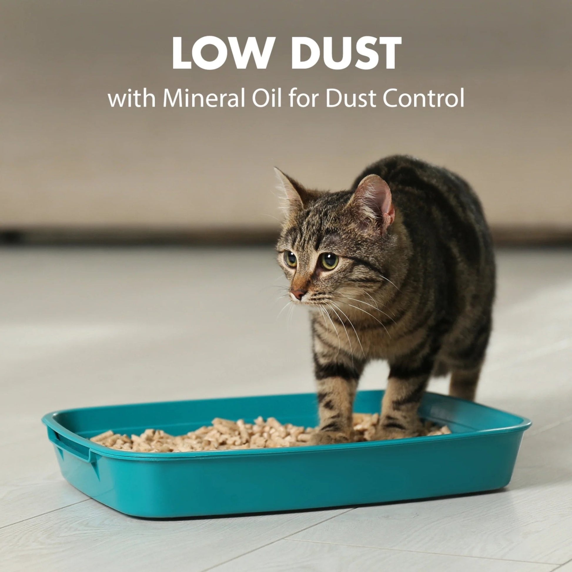 Naturals Clumping Cat Litter with Corn Fibers, Odor Control, Fresh Scent, 9 Lbs - Eco and More Pet Store DBA Overseen