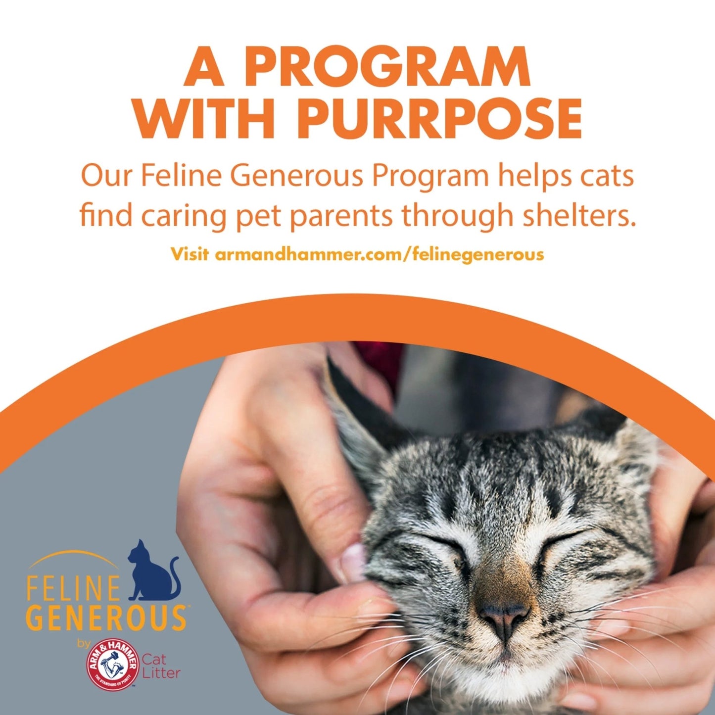 Naturals Clumping Cat Litter with Corn Fibers, Odor Control, Fresh Scent, 9 Lbs - Eco and More Pet Store DBA Overseen