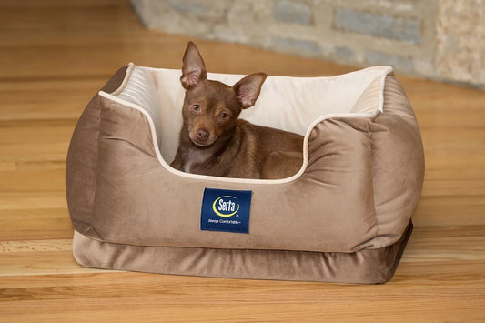 Ortho Cuddler Pet Dog Bed, Medium, Brown - Eco and More Pet Store