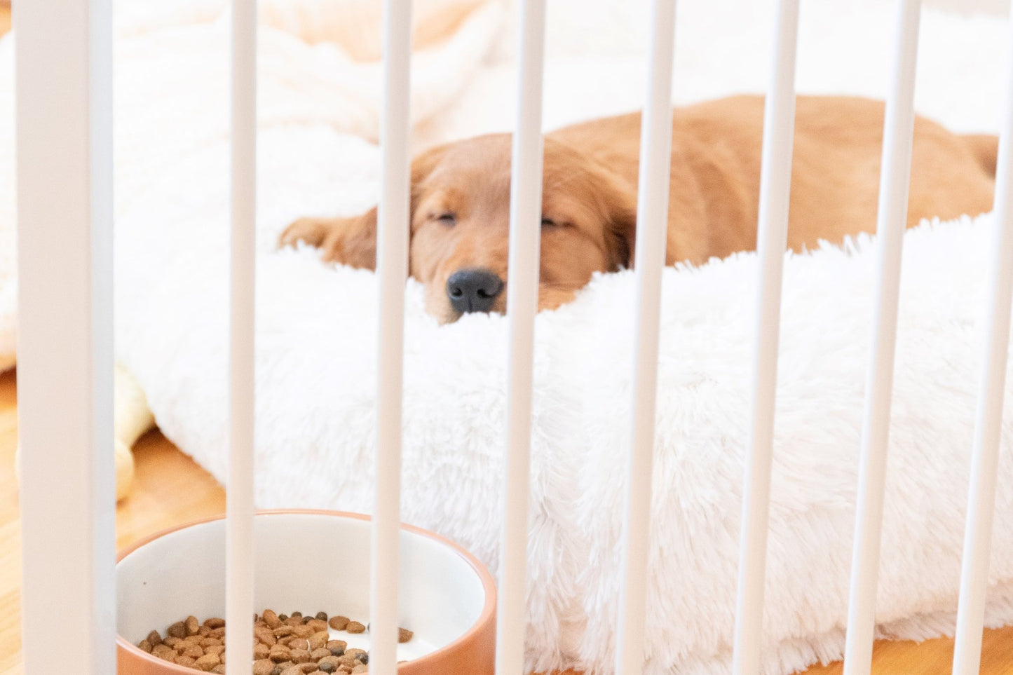 Pet Containment | Convertible Pet Yard, 144"L X 28"H - Eco and More Pet Store DBA Overseen