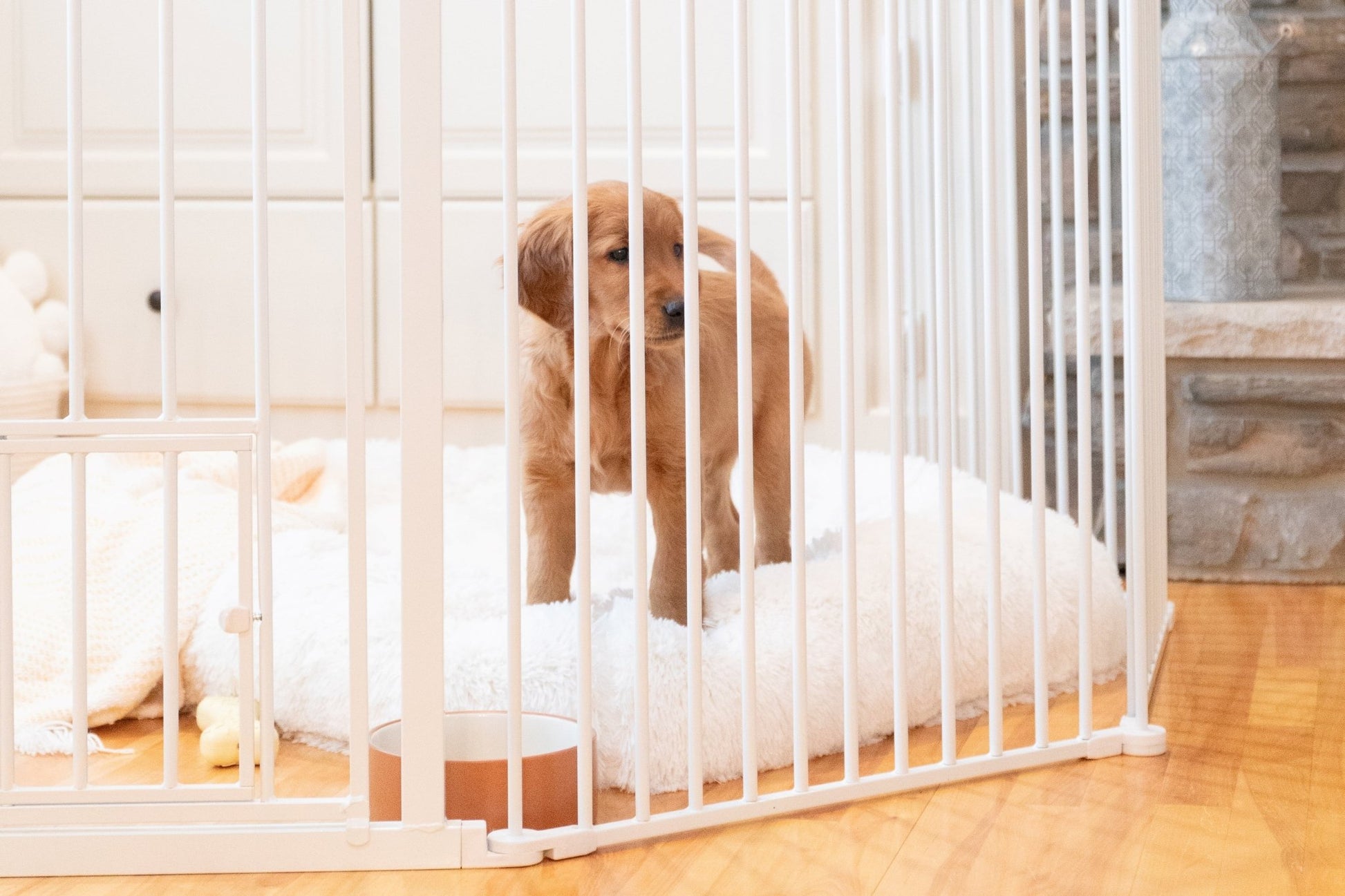 Pet Containment | Convertible Pet Yard, 144"L X 28"H - Eco and More Pet Store DBA Overseen