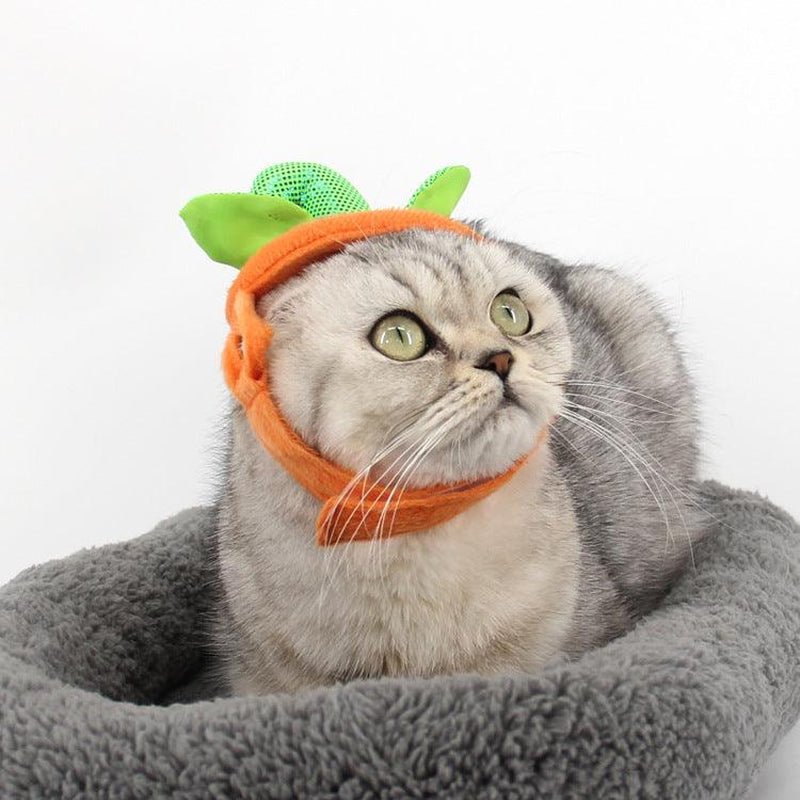 Pet Pumpkin Leaf Costume - Creative Halloween Cat Cosplay Clothing - Eco and More Pet Store