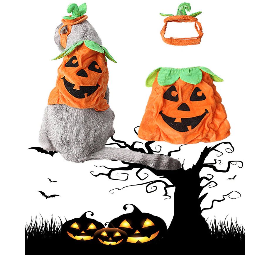 Pet Pumpkin Leaf Costume - Creative Halloween Cat Cosplay Clothing - Eco and More Pet Store