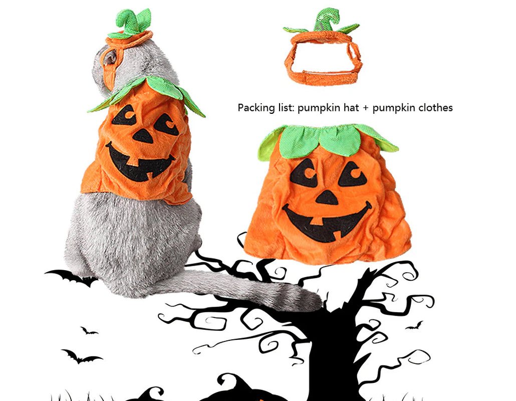 Pet Pumpkin Leaf Costume - Creative Halloween Cat Cosplay Clothing - Eco and More Pet Store