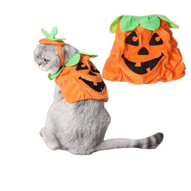 Pet Pumpkin Leaf Costume - Creative Halloween Cat Cosplay Clothing - Eco and More Pet Store