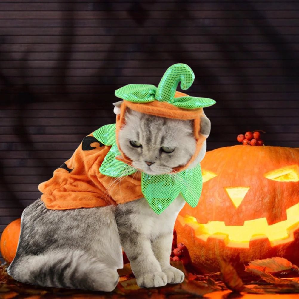 Pet Pumpkin Leaf Costume - Creative Halloween Cat Cosplay Clothing - Eco and More Pet Store