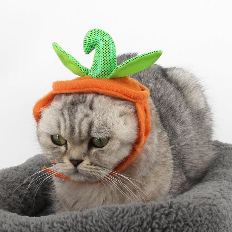 Pet Pumpkin Leaf Costume - Creative Halloween Cat Cosplay Clothing - Eco and More Pet Store