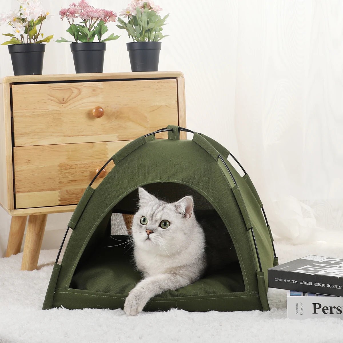 Pet Tent Bed Cats House Supplies Products Accessories Warm Cushions Furniture Sofa Basket Beds Winter Clamshell Kitten Tents Cat - Eco and More Pet Store