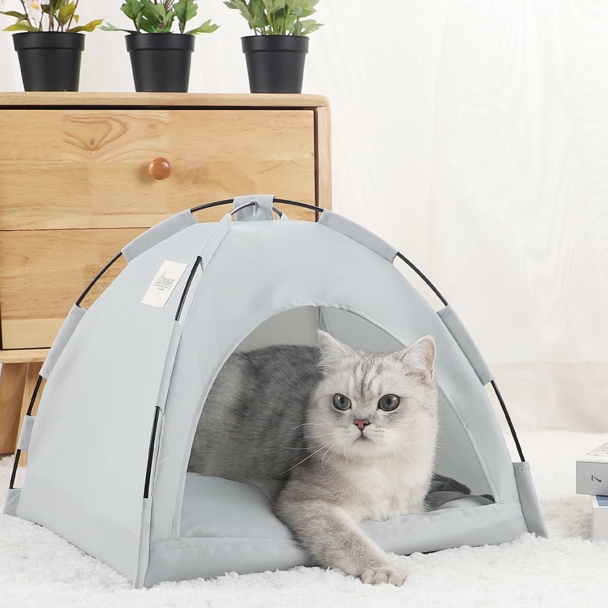 Pet Tent Bed Cats House Supplies Products Accessories Warm Cushions Furniture Sofa Basket Beds Winter Clamshell Kitten Tents Cat - Eco and More Pet Store