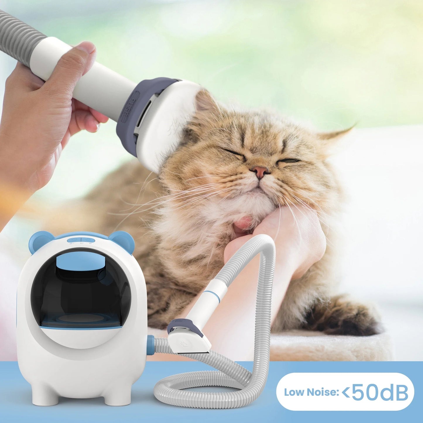 , Powerful Suction Pet Grooming Vacuum with 5 Professional Grooming Tools for Cats Pets Vacuum, for Shedding Grooming - Eco and More Pet Store