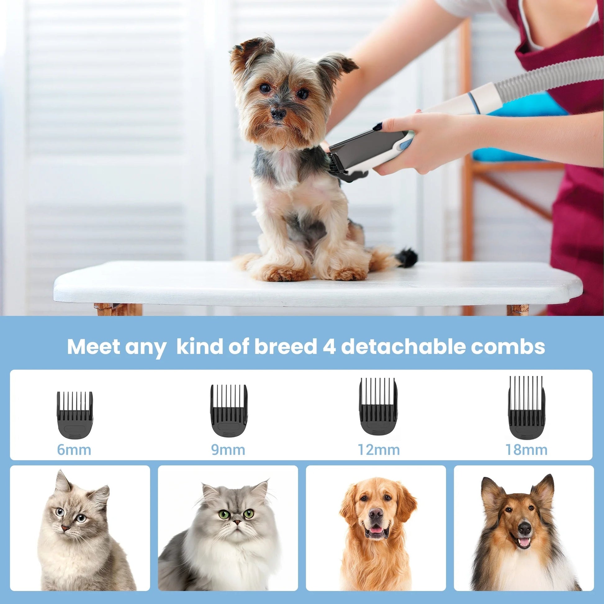 , Powerful Suction Pet Grooming Vacuum with 5 Professional Grooming Tools for Cats Pets Vacuum, for Shedding Grooming - Eco and More Pet Store