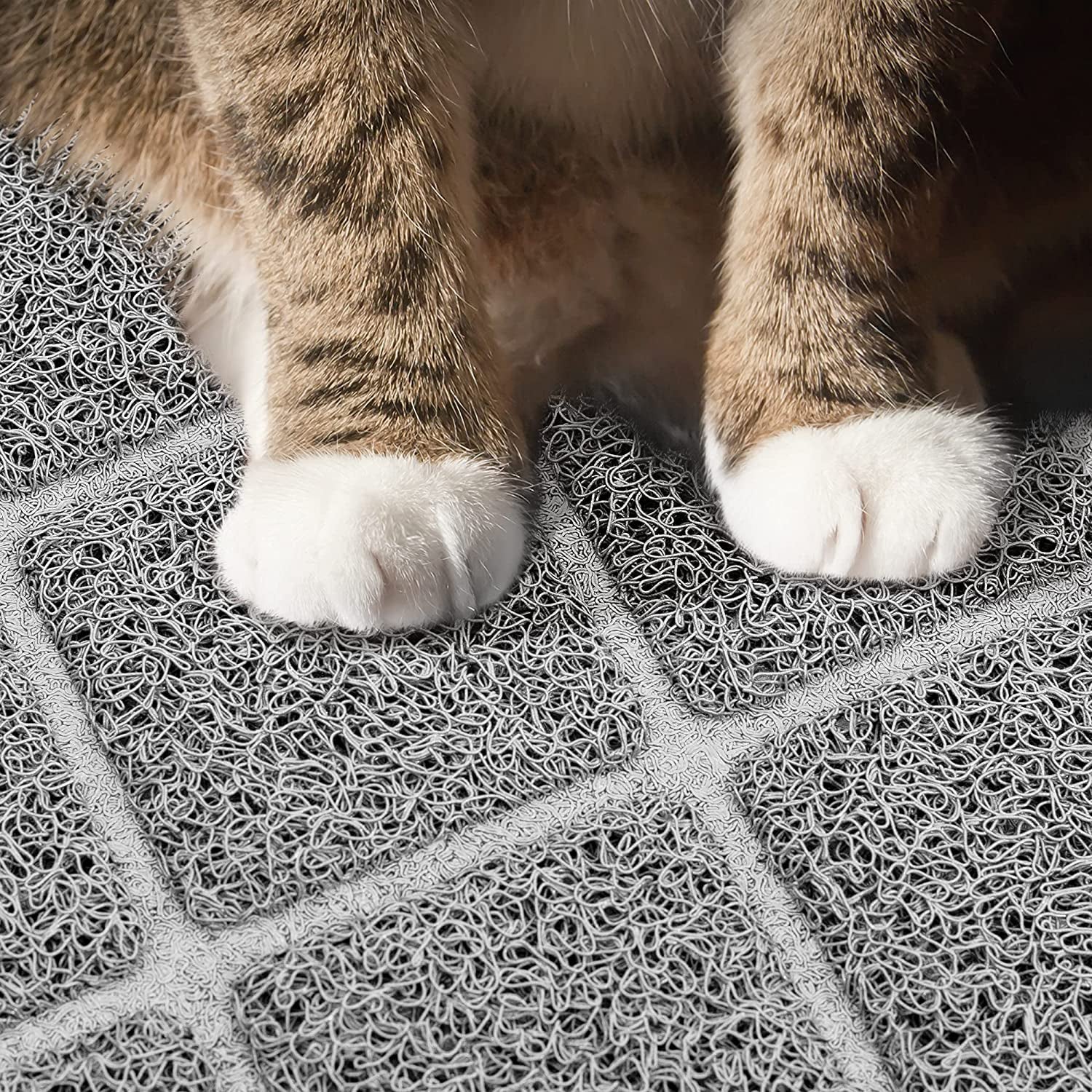 Premium Cat Litter Mat, Litter Box Mat with Non - Slip and Waterproof Backing, Litter Trapping Mat Soft on Kitty Paws and Easy to Clean, Cat Mat Traps Litter from Box - Eco and More Pet Store