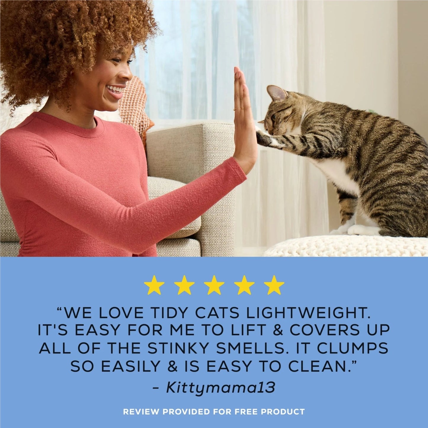 Purina Lightweight 4 - In - 1 Strength Odor Control, Multi Cat, Low Dust, Clumping Cat Litter - Eco and More Pet Store DBA Overseen
