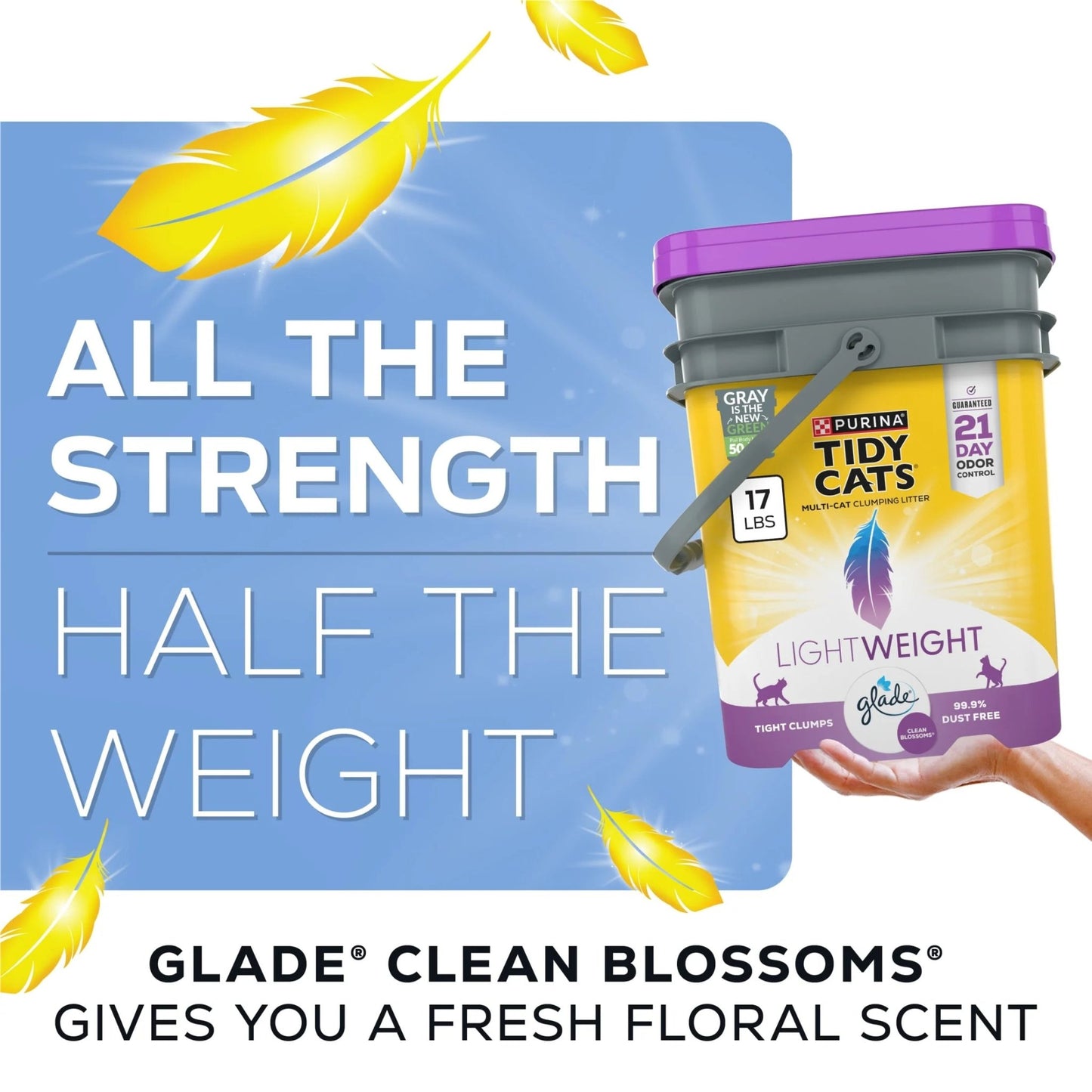 Purina Lightweight with Glade Clean Blossoms Scented Clumping Cat Litter - Eco and More Pet Store DBA Overseen