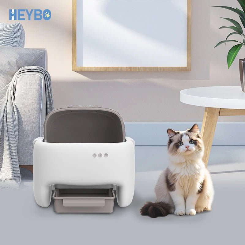 Self Cleaning Litter Box | Automatic Cat Litter Box with Safety Protection - Eco and More Pet Store DBA Overseen