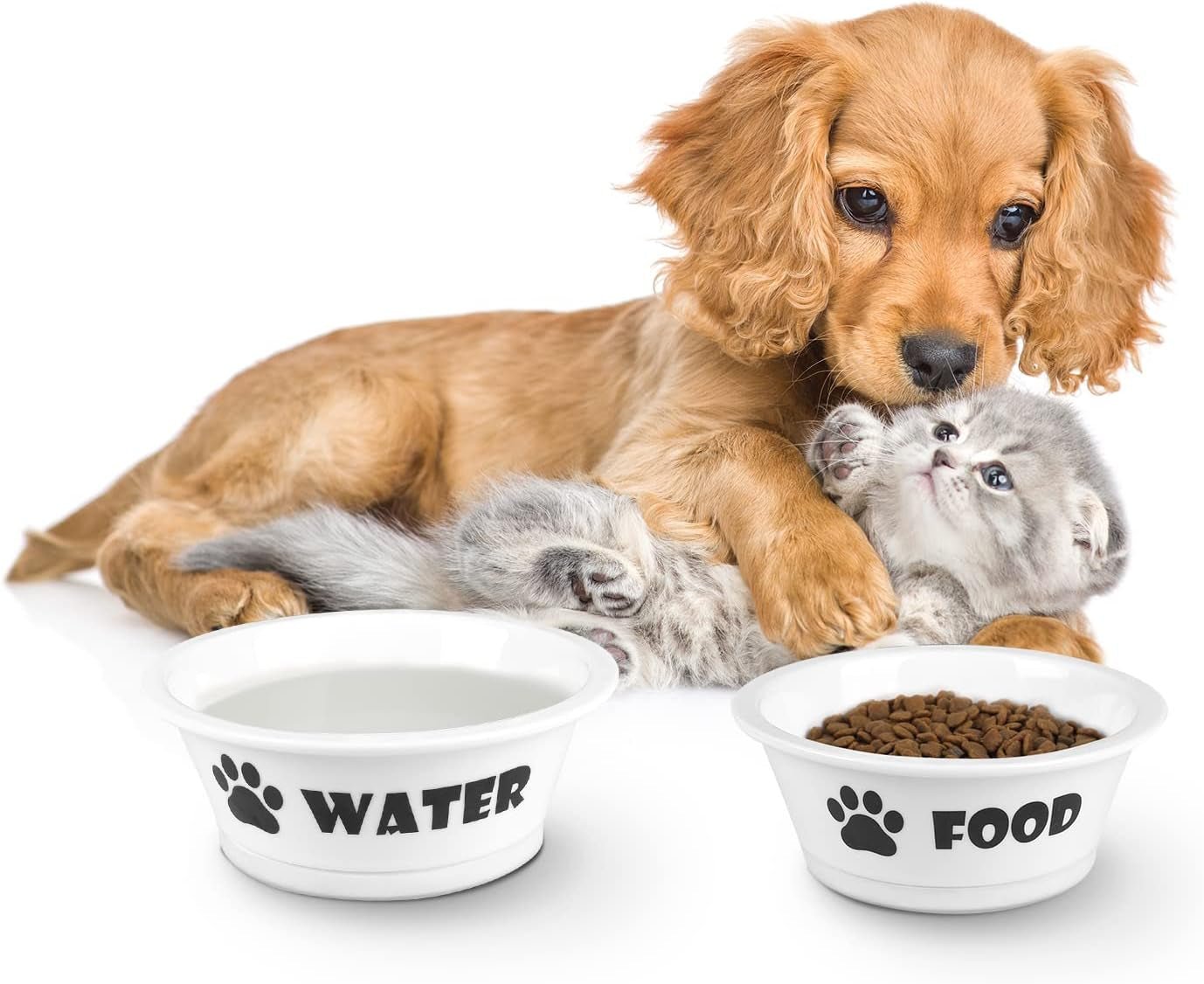 Set of 2 Ceramic Dog Cat Bowl Set, Pet Porcelain Food and Water Feeder Dish Bowls with anti Slip Band, Dishwasher and Microwave Safe (Small) - Eco and More Pet Store