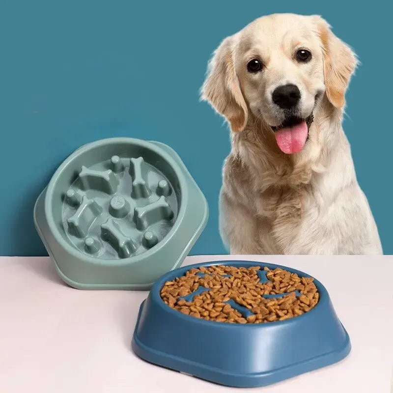 Slow Feeder Pet Bowl for Healthy Eating - Eco and More Pet Store