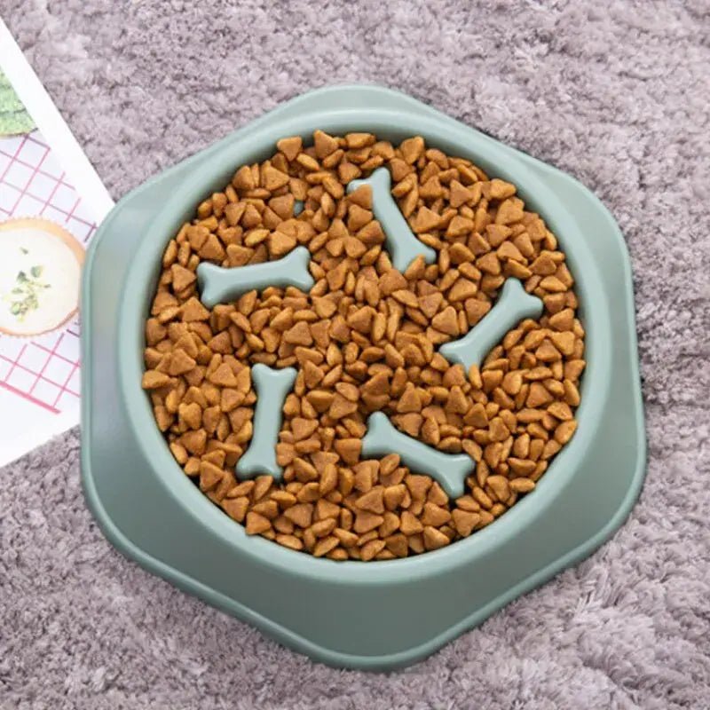 Slow Feeder Pet Bowl for Healthy Eating - Eco and More Pet Store