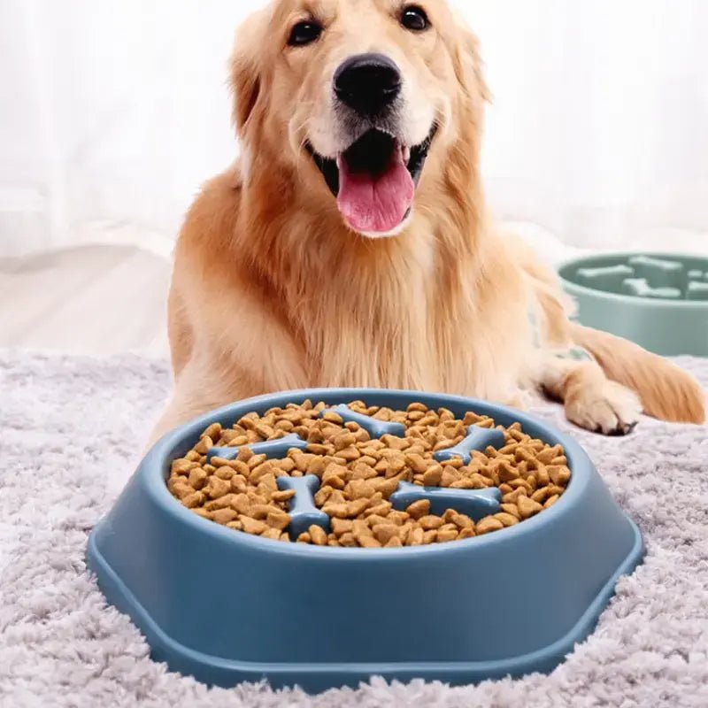 Slow Feeder Pet Bowl for Healthy Eating - Eco and More Pet Store