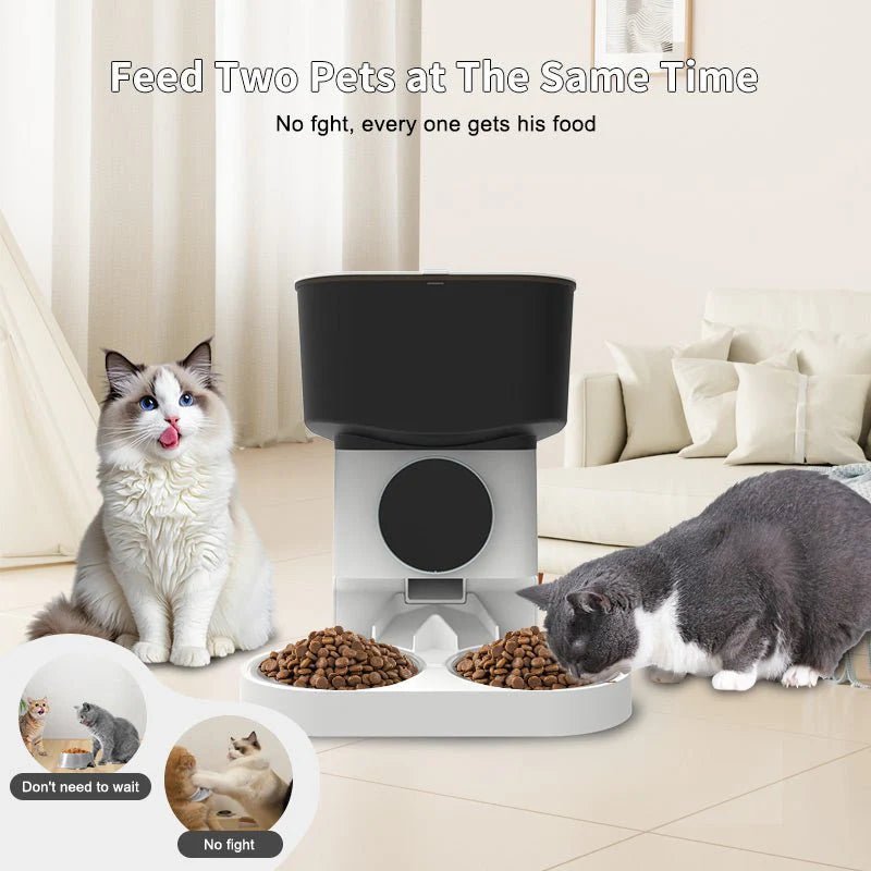 Smart Automatic Cat Feeder | 7L - Reliable Automatic Cat Food Dispenser - Eco and More Pet Store DBA Overseen