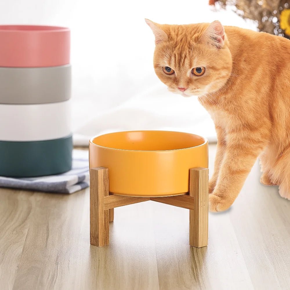 Stylish Elevated Cat & Small Dog Bowl – Ceramic Food Dish with Anti - Slip Stand – Raised Design to Prevent Vomiting – 400 ML (13.5 OZ) for Cats and Small Dogs - Eco and More Pet Store