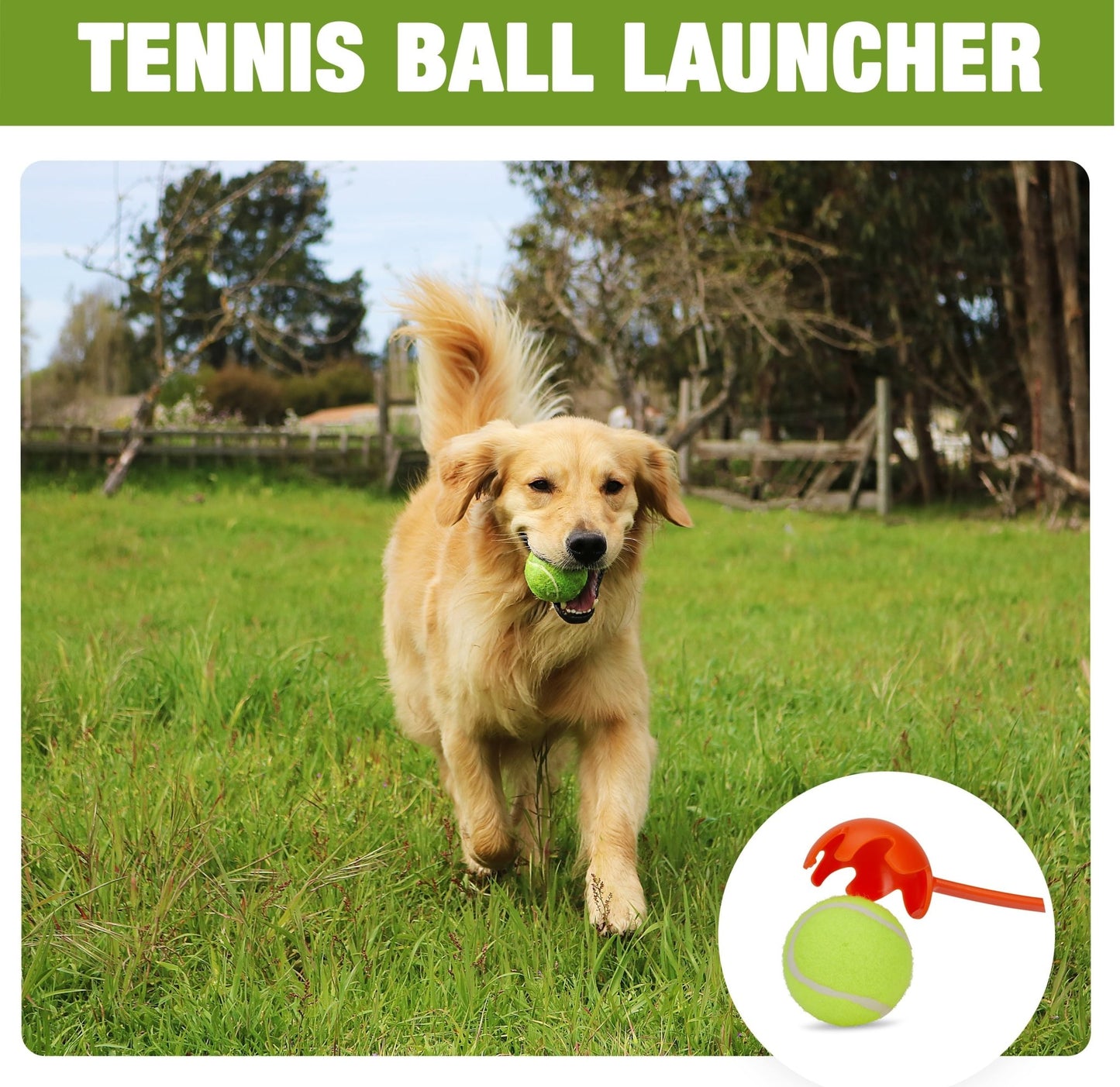 "Ultimate Tennis Ball Launcher - Effortless Fetch Toy for Dogs | Hands - Free, Adjustable Distance, Perfect for Outdoor Play!" - Eco and More Pet Store