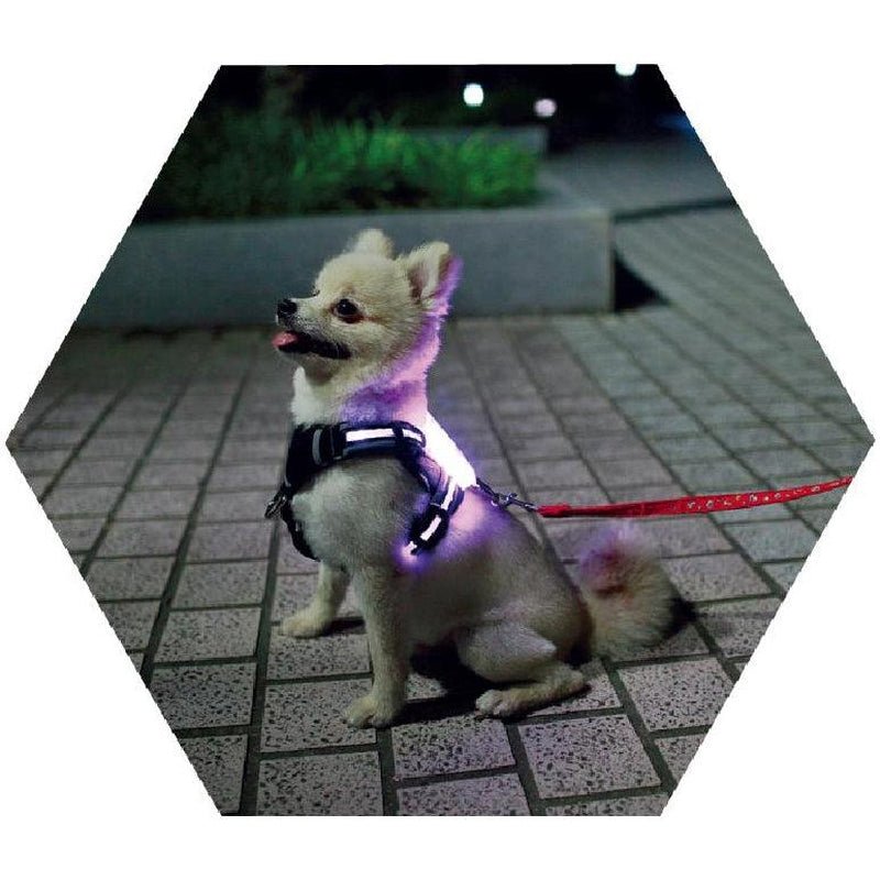 Usb Rechargeable Led Pet Collar - Illuminate Your Dog'S Style! - Eco and More Pet Store