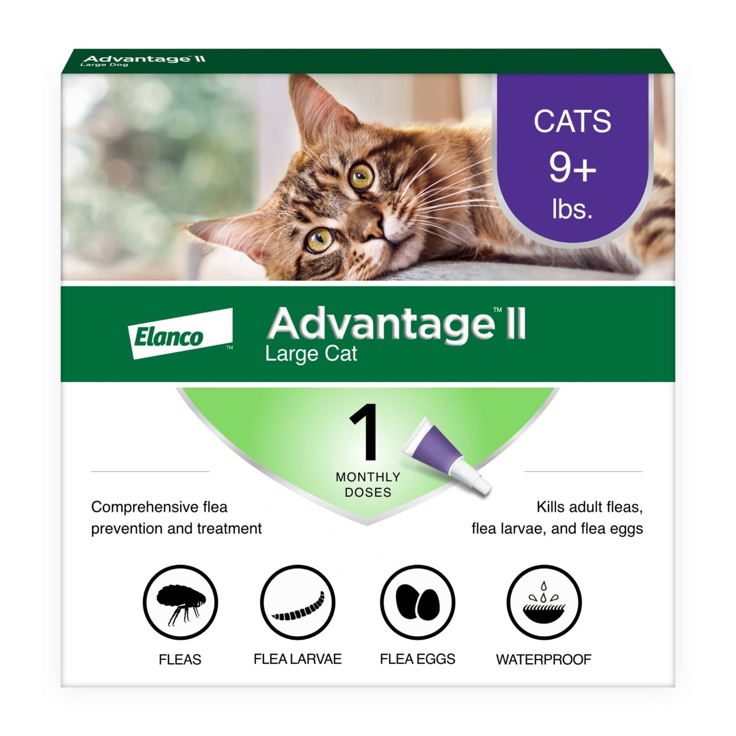 Vet - Recommended Flea Prevention for Large Cats (9 lbs+) | 4 Monthly Treatments - Effective, Long - Lasting Defense Against Fleas - Eco and More Pet Store