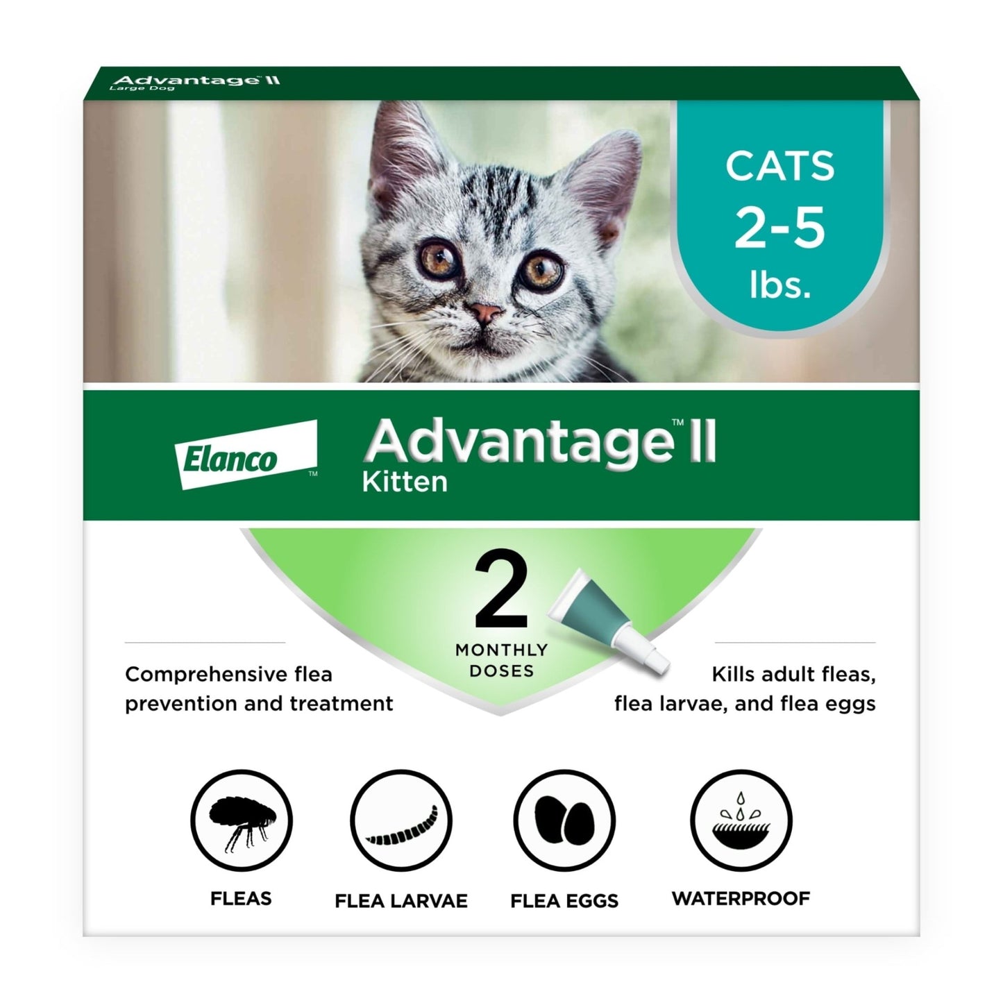 Vet - Recommended Flea Prevention for Large Cats (9 lbs+) | 4 Monthly Treatments - Effective, Long - Lasting Defense Against Fleas - Eco and More Pet Store