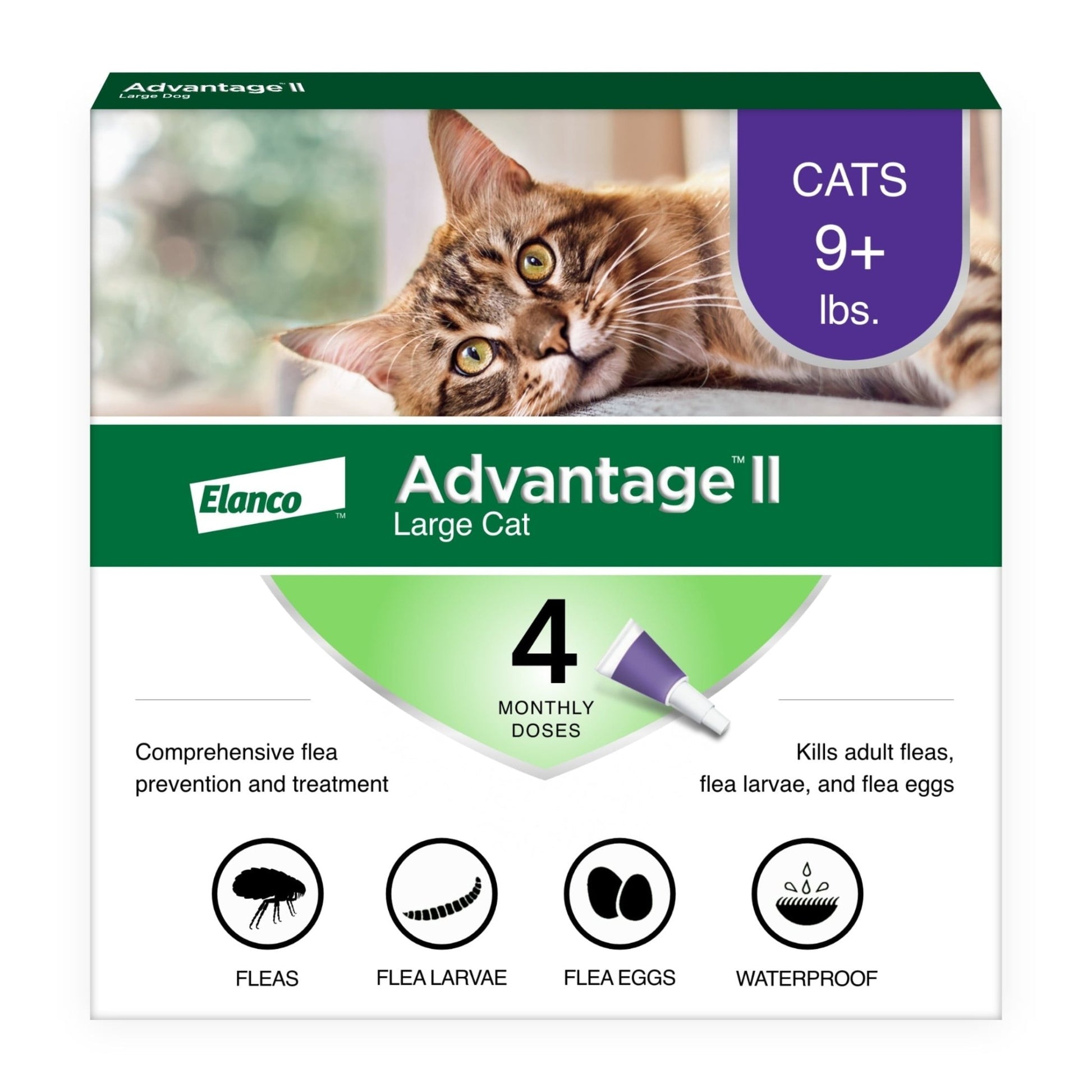 Vet - Recommended Flea Prevention for Large Cats (9 lbs+) | 4 Monthly Treatments - Effective, Long - Lasting Defense Against Fleas - Eco and More Pet Store