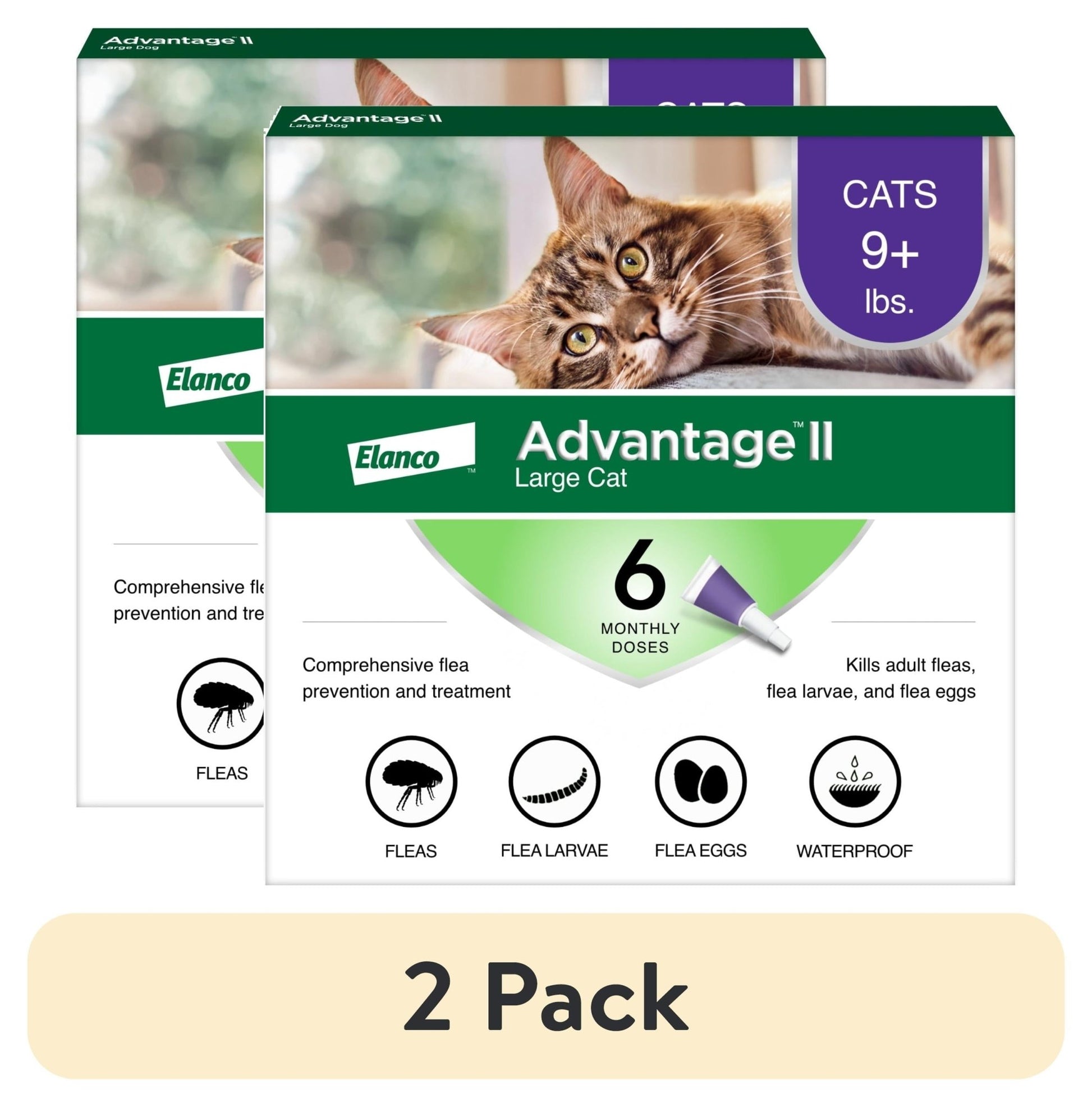 Vet - Recommended Flea Prevention for Large Cats (9 lbs+) | 4 Monthly Treatments - Effective, Long - Lasting Defense Against Fleas - Eco and More Pet Store