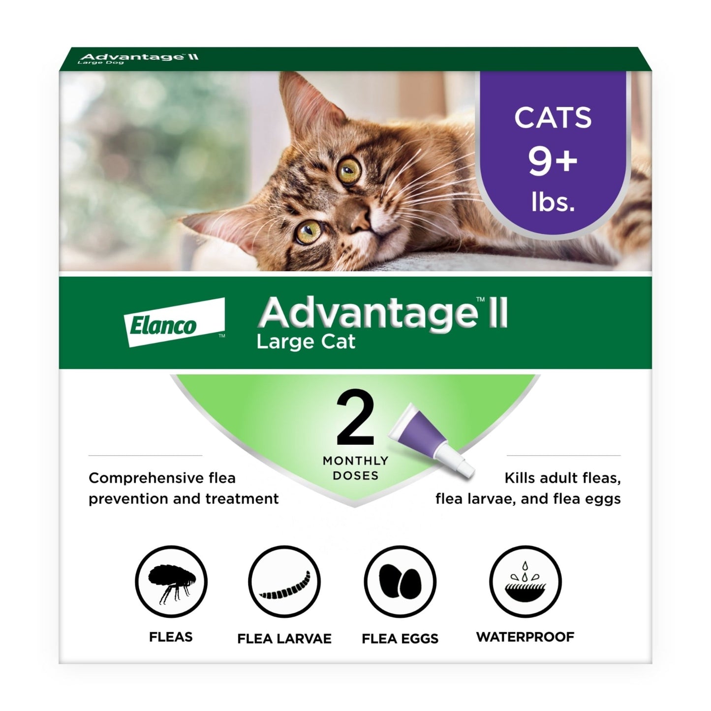 Vet - Recommended Flea Prevention for Large Cats (9 lbs+) | 4 Monthly Treatments - Effective, Long - Lasting Defense Against Fleas - Eco and More Pet Store