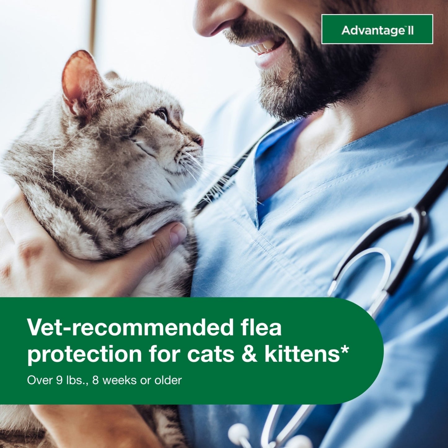 Vet - Recommended Flea Prevention for Large Cats (9 lbs+) | 4 Monthly Treatments - Effective, Long - Lasting Defense Against Fleas - Eco and More Pet Store