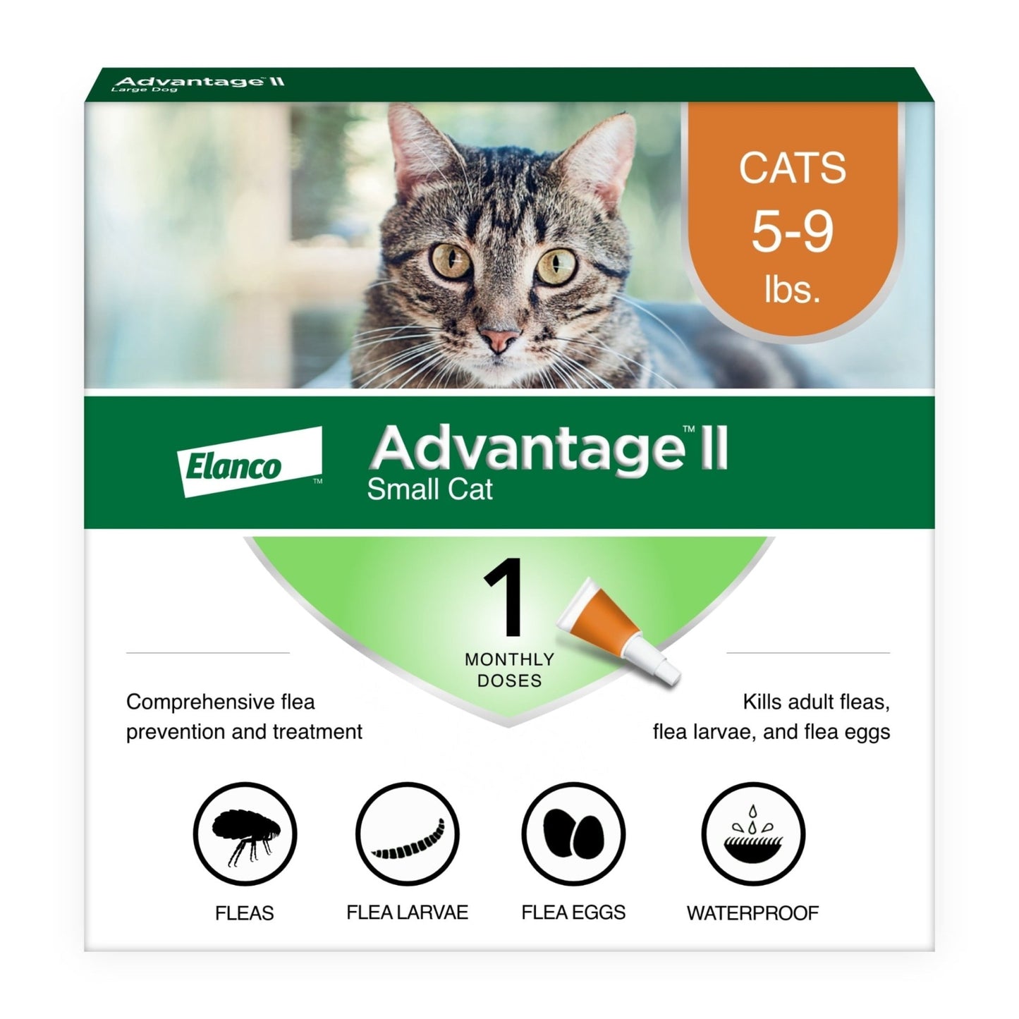 Vet - Recommended Flea Prevention for Large Cats (9 lbs+) | 4 Monthly Treatments - Effective, Long - Lasting Defense Against Fleas - Eco and More Pet Store