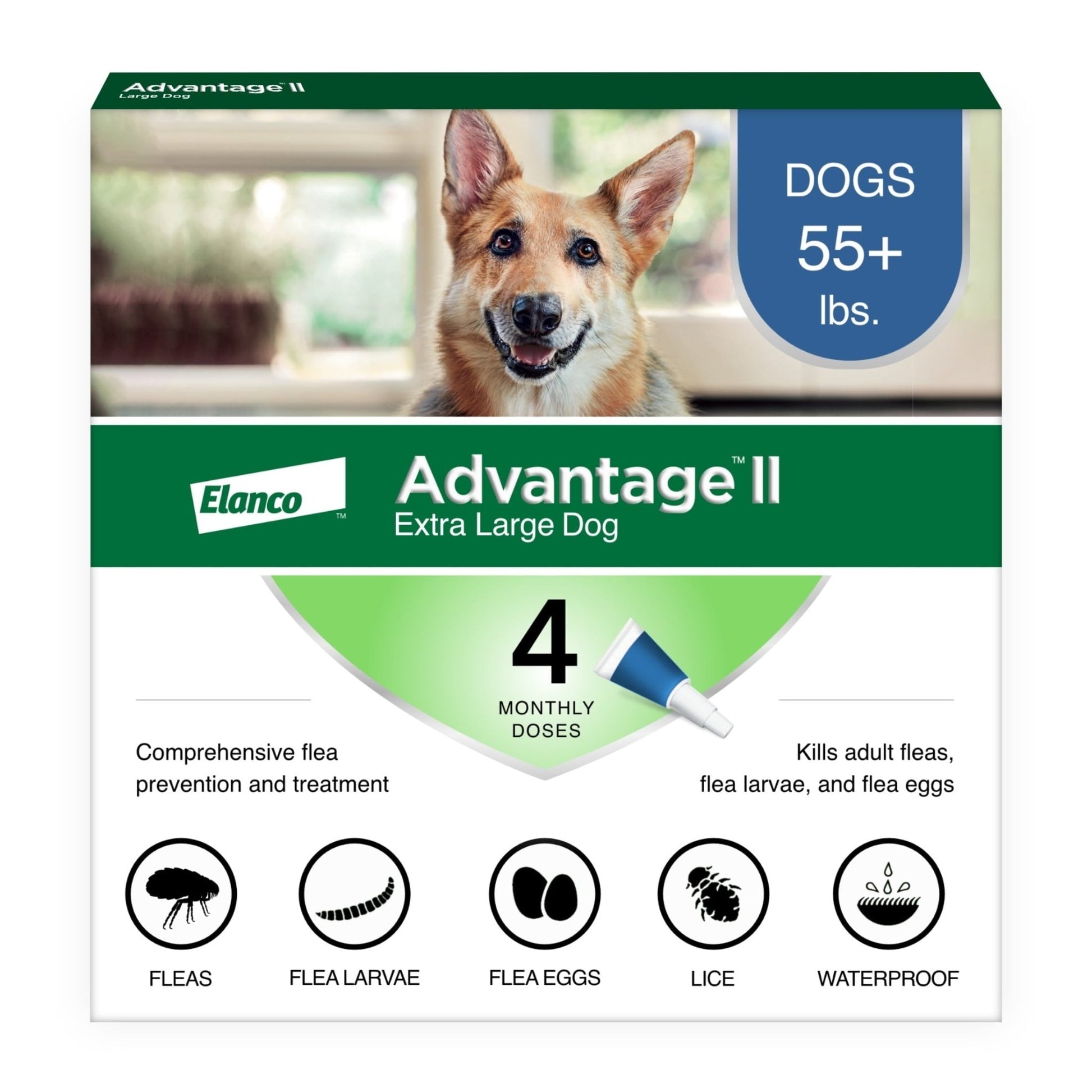 Vet - Recommended Flea Prevention for XL Dogs (55 lbs+) | 4 Monthly Treatments - Powerful, Long - Lasting Protection Against Fleas - Eco and More Pet Store