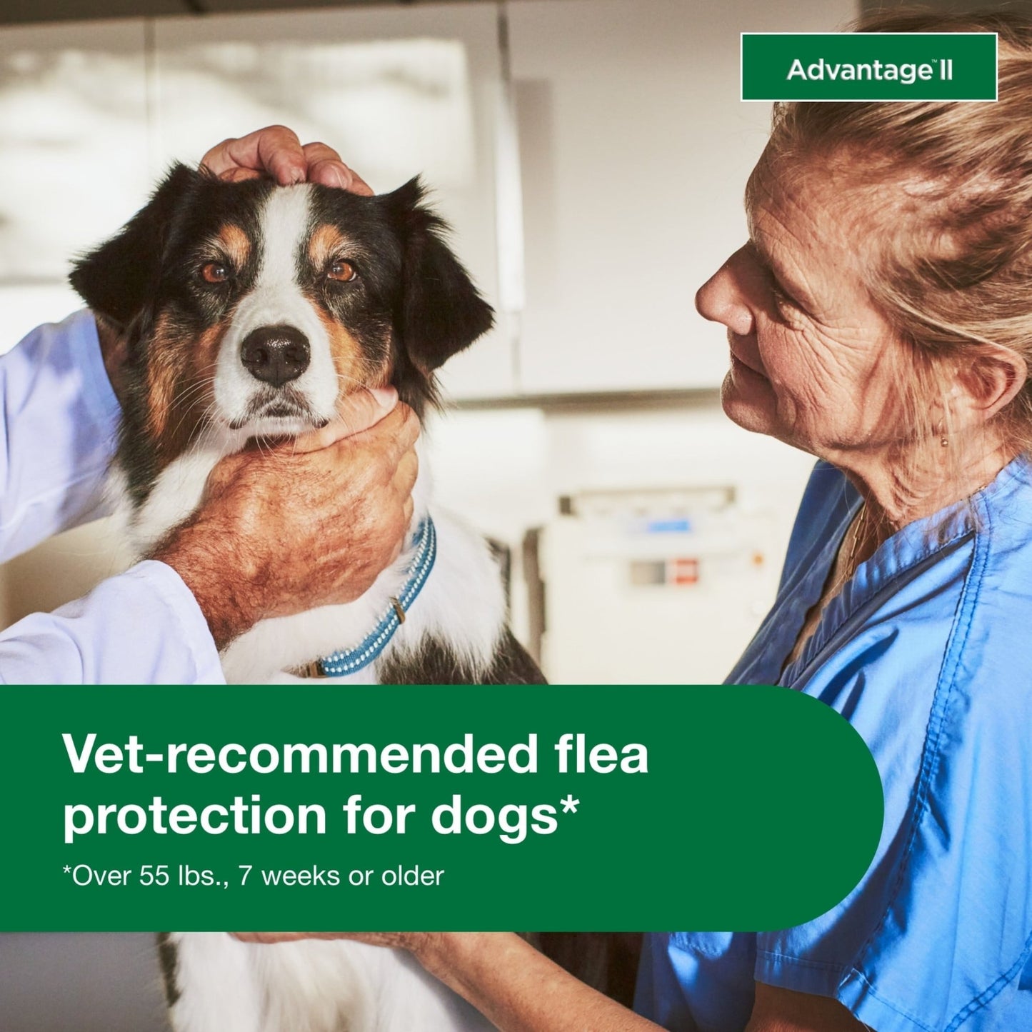 Vet - Recommended Flea Prevention for XL Dogs (55 lbs+) | 4 Monthly Treatments - Powerful, Long - Lasting Protection Against Fleas - Eco and More Pet Store