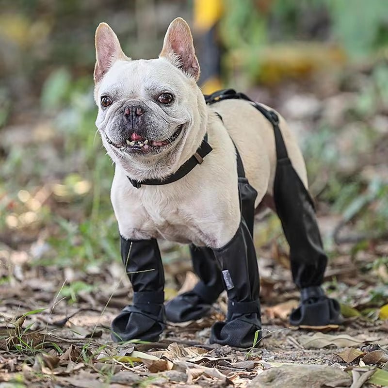 Waterproof Dog Boots Anti - Slip Dog Shoes with Rugged Rubber Sole, Pet Paw Protector for Small Medium Dogs - Eco and More Pet Store